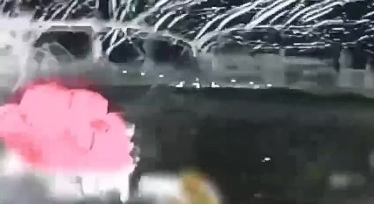 «Это была неудачная операция ГУР, или же Сырский намеренно слил в руки РФ лучших бойцов ГУР?