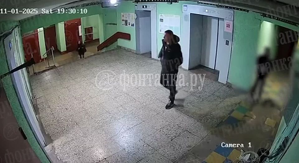 Мужчина швырнул маленькую собаку об стену парадной дома на улице Маршала Говорова