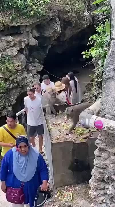 Никогда не сдавайся!. Доброе утро, друзья, чудесных всем длинных выходных! ——————