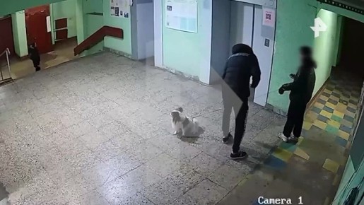 ,        ,     ,       16- 