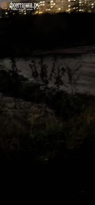 Зафиксирован еще один сброс из канализации в Муринский ручей