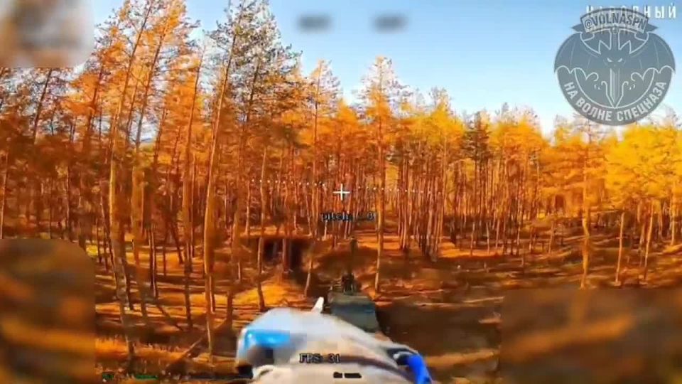 Боевая работа бойцов с канала "На волне спецназа"