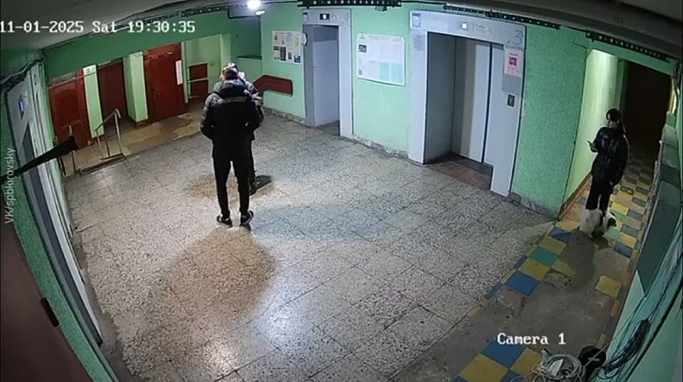 В Петербурге неадекват бросил маленькую собаку в стену за то, что она гавкала