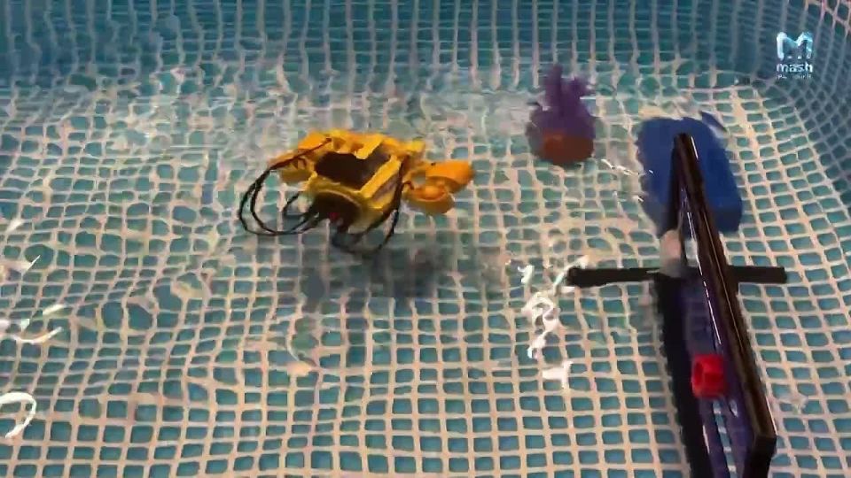 Роботы гонщики, ныряльщики, футболисты и даже акула — все это творения участников масштабного робо-феста в музее Военно-морской славы в Кронштадте