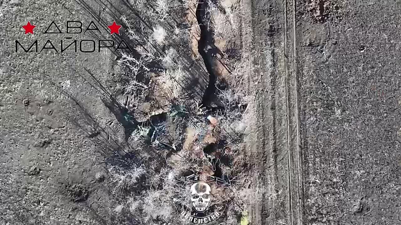 Два майора: Запорожский фронт. Ореховское направление