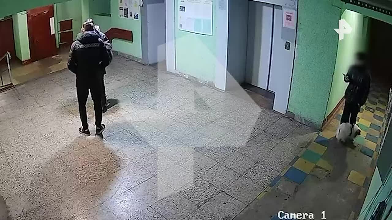 Мужчине, кинувшему собаку в стену подъезда дома в Петербурге, дали 15 суток ареста, сообщили в пресс-службе районного суда в регионе