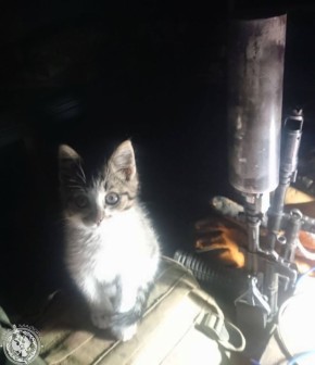 Два майора: Рубрика «Будни солдата»