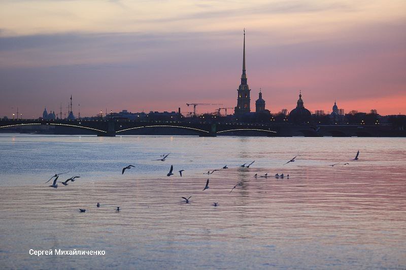 Мосты в Петербурге не будут разводить в ночь с 4 на 5 ноября – в связи с Днем народного единства