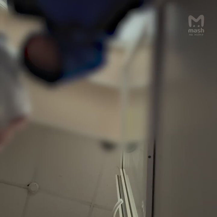 Я засужу этого человека!. Бывшую супругу питерского боксёра Дмитрия Бивола избил экс-свёкр — накануне схватки Екатерина перенесла операцию на носу