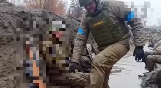 ‘По колено в воде. Всё гниет