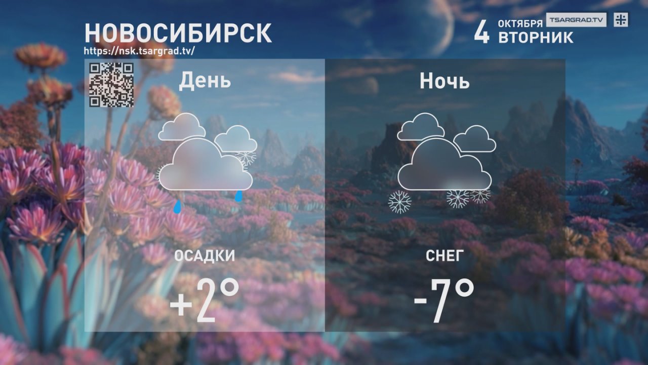 Ноябрь .... С каждым новым днём