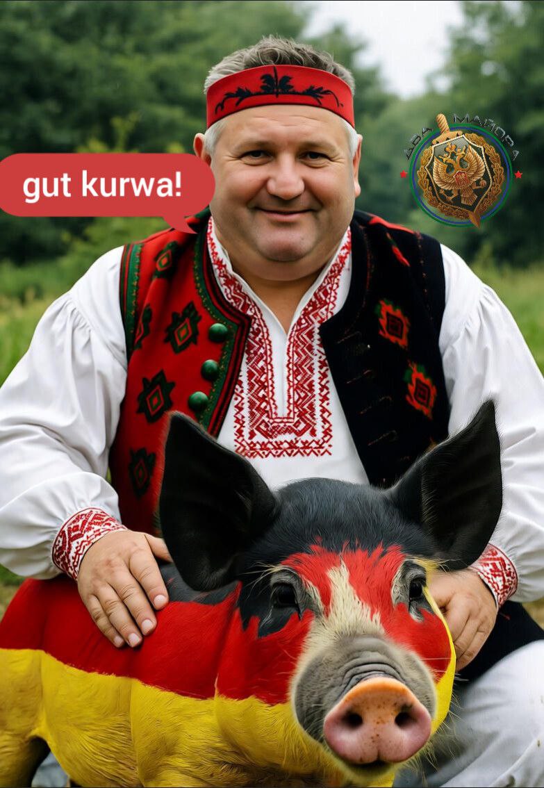 Два майора: Bloomberg:Польша хочет создать собственную «стену дронов» для противодействия российской угрозе