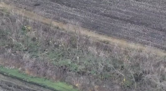 Юрий Подоляка: Покровское направление 05.11.25: ВСУ побежали из Покровска