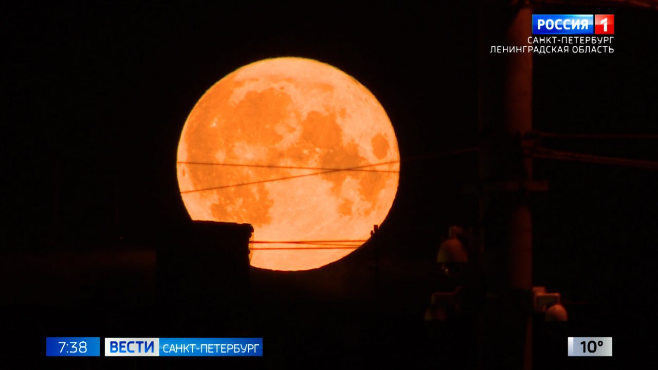 Сегодня вечером жители России смогут наблюдать уникальное астрономическое явление — Бобровое суперлуние