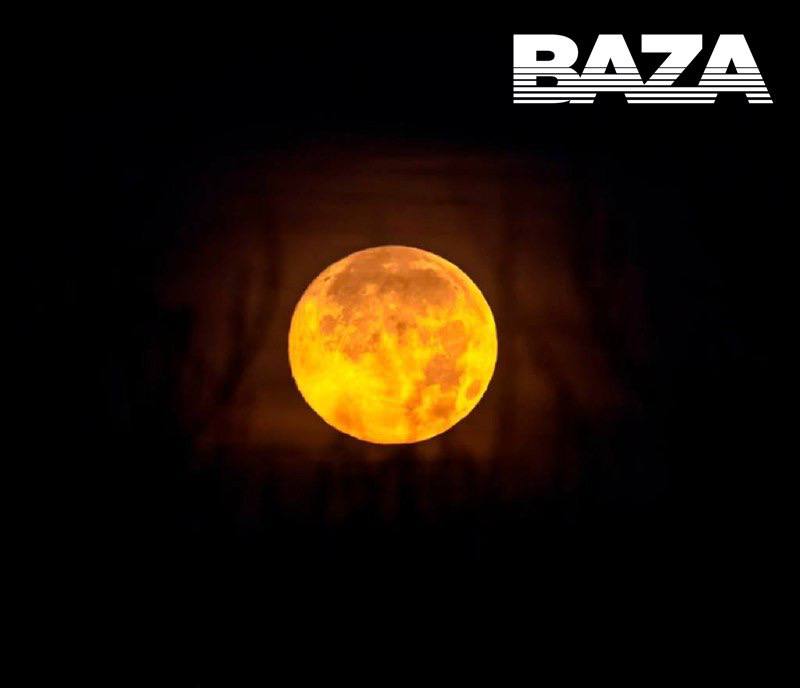 Над Россией поднялась Бобровая Луна — огромный серебряный диск, который этой ночью видно почти из любого окна Над Россией поднялась Бобровая Луна — огромный серебряный диск, который этой ночью видно почти из любого окна