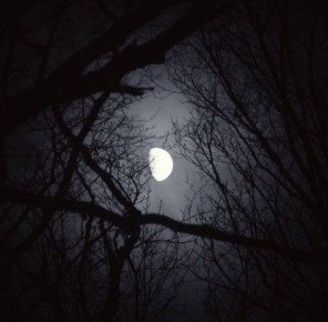 Олег Царёв: Правда — это не то, что приятно слышать, а то, что важно знать