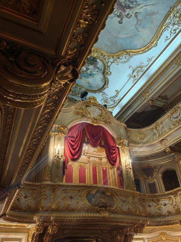 Посидеть в музее на антикварных стульях Посидеть в музее на антикварных стульях