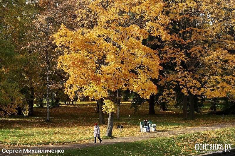 Двух десятых градуса не хватило Петербургу для обновления рекорда