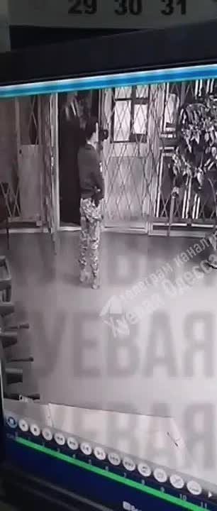 Юлия Витязева: Как перестать орать? Изложение событий из хуторского сегмента: