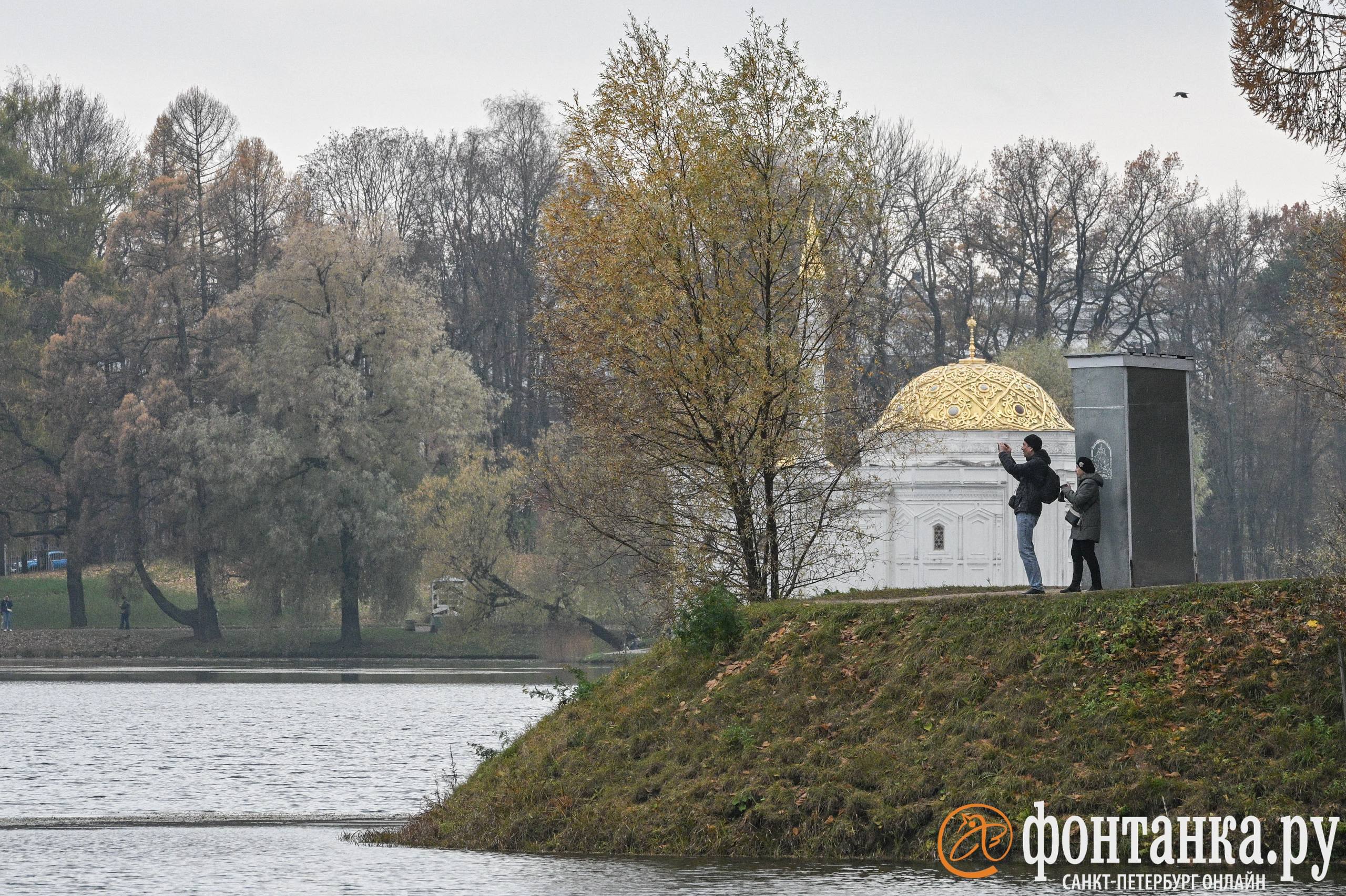 Ноябрьский парадокс в Петербурге: дождливо и аномально тепло