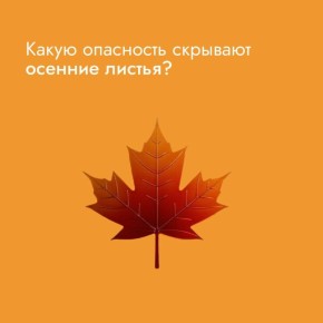 Маленькие невидимые угрозы: аллергены, бактерии и прочие опасности, подстерегающие в осеннем парке