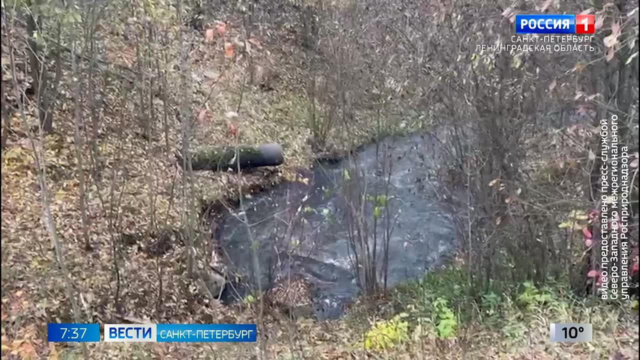 Сотрудники Росприроднадзора установили причину загрязнения реки Охта