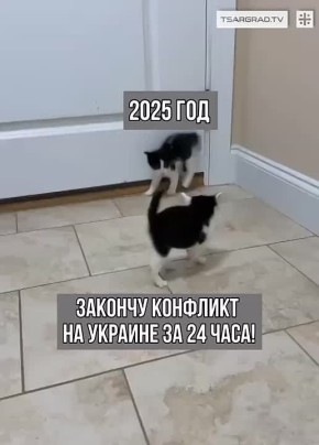 Уже год Трамп у власти, а его знаменитые «24 часа для мира на Украине», тем не менее, все еще продолжаются