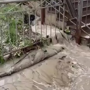 Прокуратура Петербургского метрополитена проводит проверку в связи с прорывом трубы холодного водоснабжения на станции метро «Девяткино»