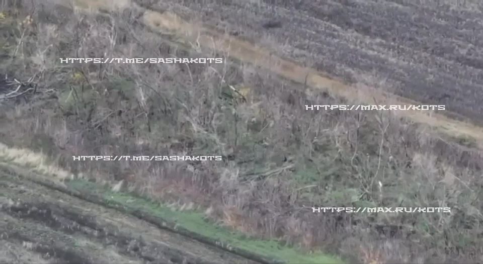 Александр Коц: Битва за Покровск. Последние новости