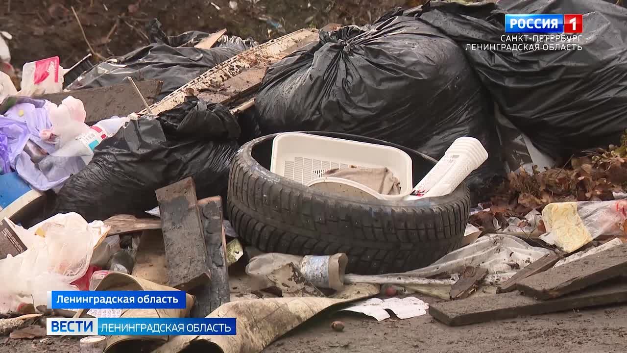 В Ленинградской области проходят рейды по контейнерным площадкам