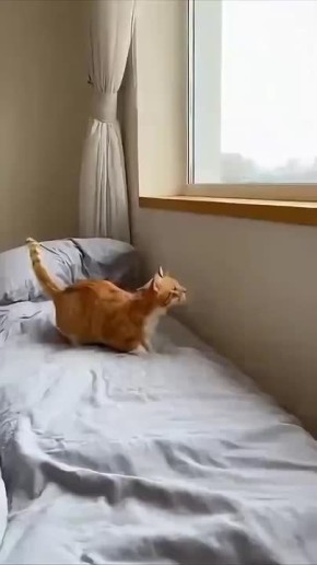 Михаил Онуфриенко: Встать - вроде встал.. Проснуться-то теперь как?