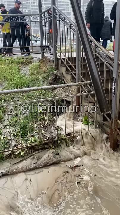 В Мурино прорвало трубу с холодной водой у станции метро «Девяткино»