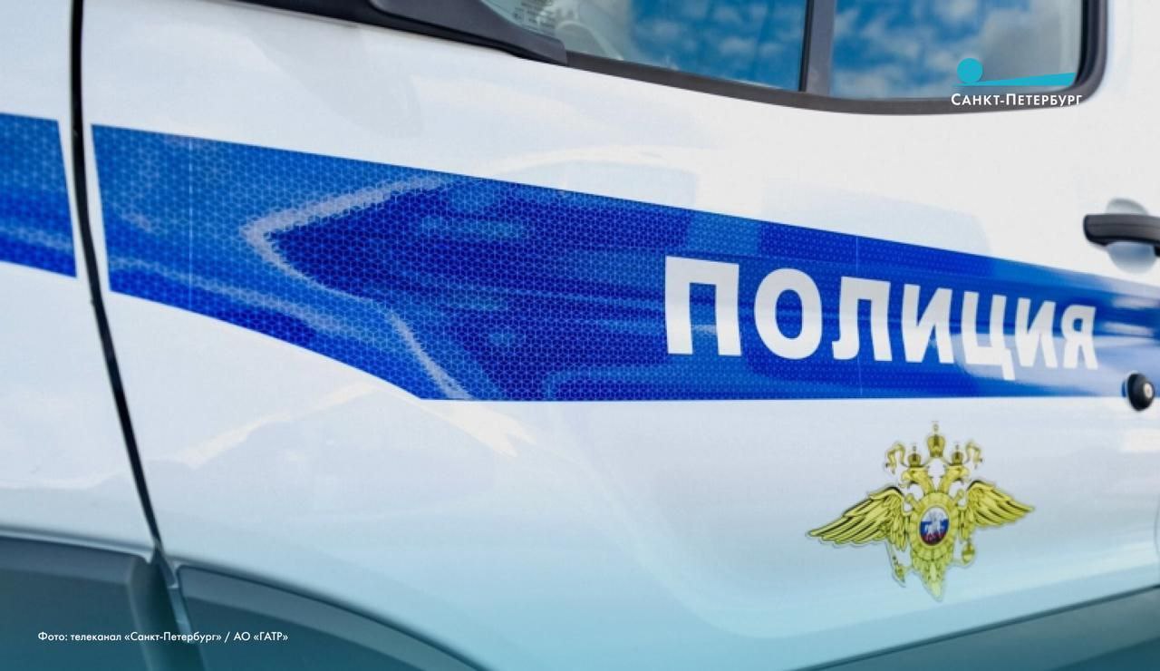 В Приморском районе Санкт-Петербурга полицейские спасли 13-летнего школьника, спрыгнувшего с Яхтенного моста в Финский залив
