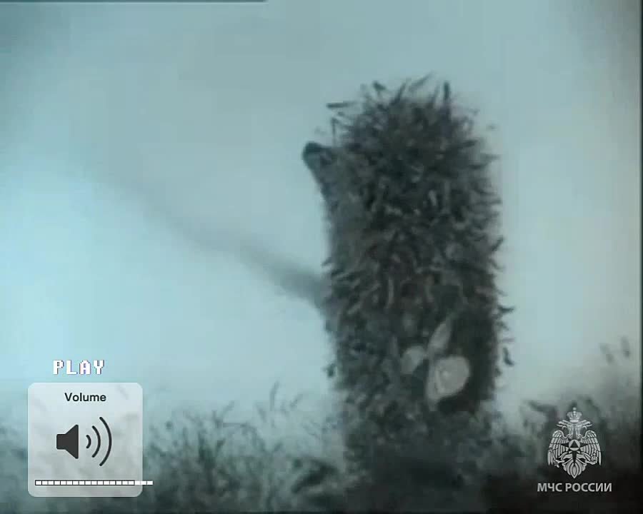 #МЧС_Петербурга предупреждает: по информации ФГБУ "Северо-Западное УГМС", 7 ноября в утренние часы в Санкт-Петербурге ожидается туман при видимости 500 метров и менее.