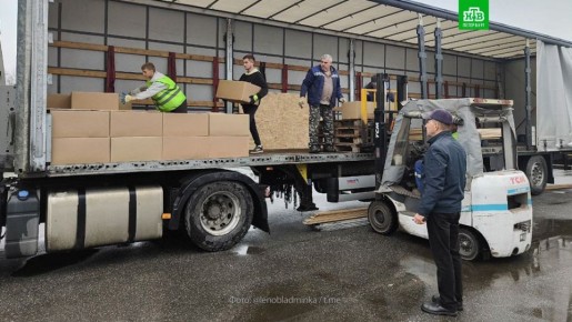 Ленобласть озеленяет Донбасс