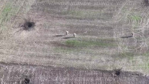 Обстановка в Успеновке. Часть хлопчиков всё же вняла советам спасаться бегством