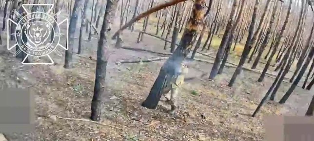 Липцовское направление. В результате грамотно организованной засады полностью сожжен пикап ВСУ с водителем, выживший пассажир добит ударом второго дрона