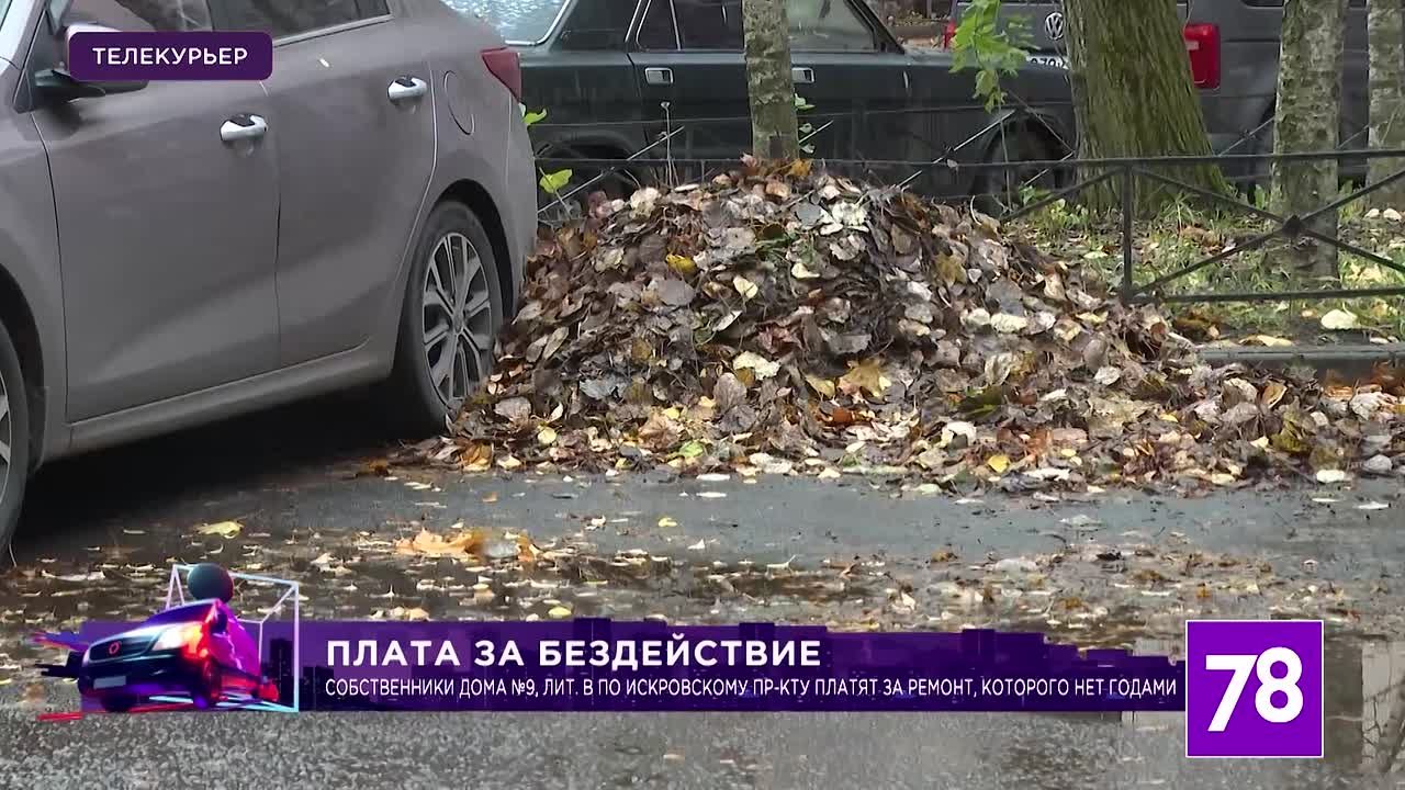 Многие жителей Северной столицы недовольны работой своей Управляющей компании