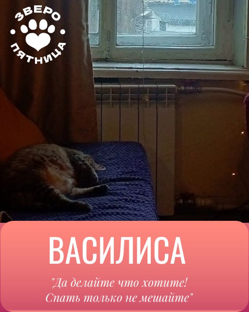 Верхи могут, низы хотят! В этой связи объявляем революцию — отныне в нашем пятничном ЗвероПосте будут участвовать и ваши любимки Верхи могут, низы хотят! В этой связи объявляем революцию — отныне в нашем пятничном ЗвероПосте будут участвовать и ваши любимки