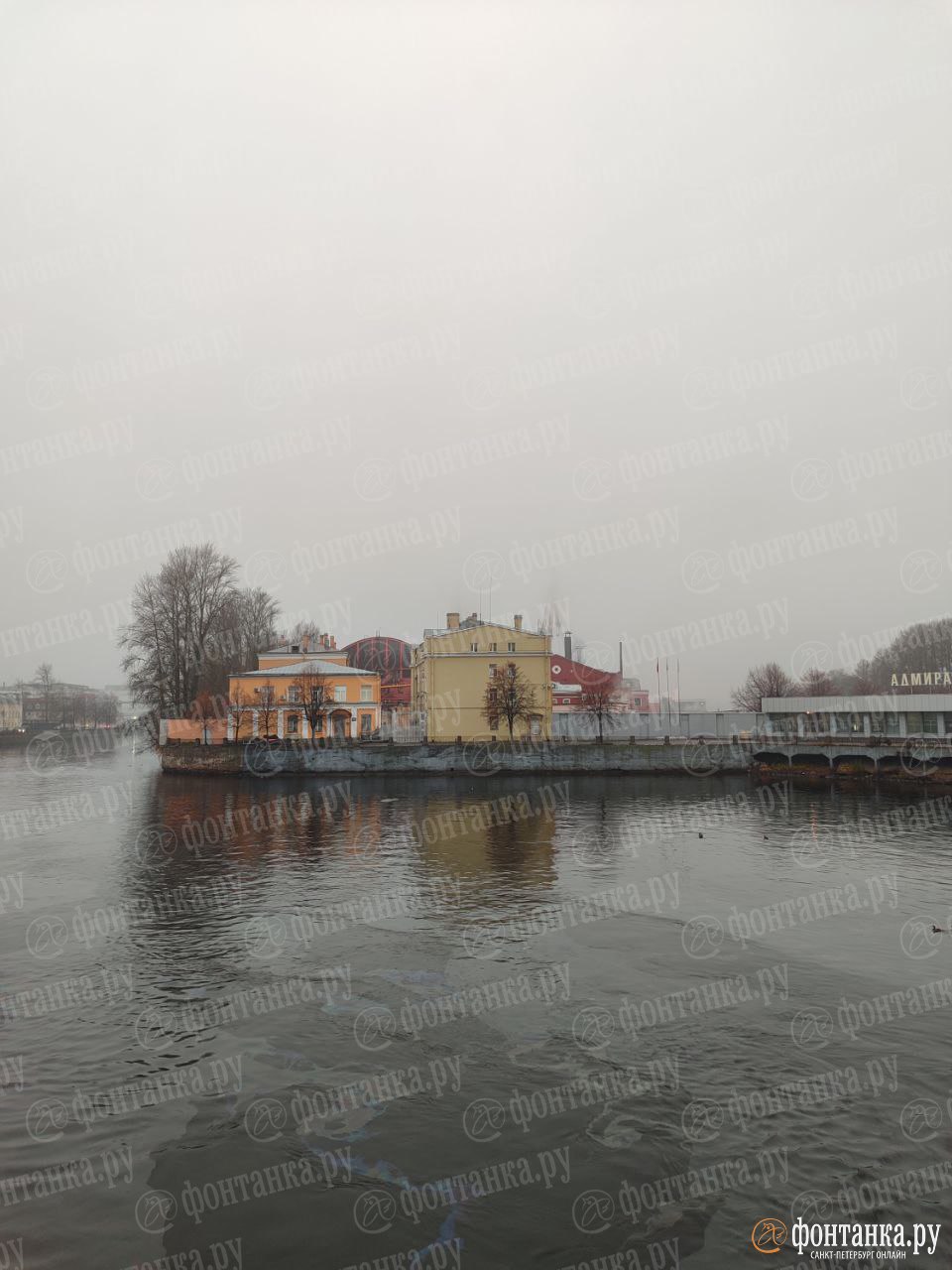 Радужные пятна расползлись по реке Фонтанке Радужные пятна расползлись по реке Фонтанке