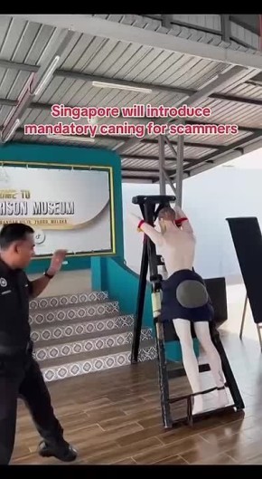 Олег Царёв: Знаете, что такое канинг?. Это наказание ротанговой или бамбуковой палкой, и теперь оно предусмотрено для интернет-мошенников в Сингапуре