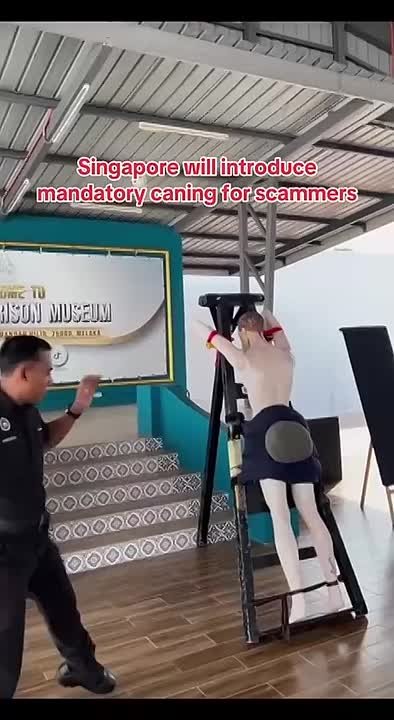 Олег Царёв: Знаете, что такое канинг?. Это наказание ротанговой или бамбуковой палкой, и теперь оно предусмотрено для интернет-мошенников в Сингапуре