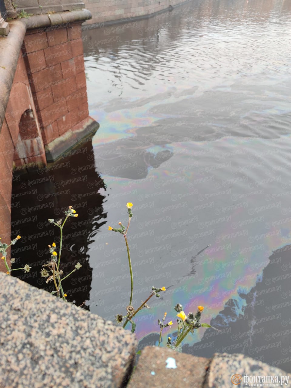 Радужные пятна расползлись по реке Фонтанке Радужные пятна расползлись по реке Фонтанке