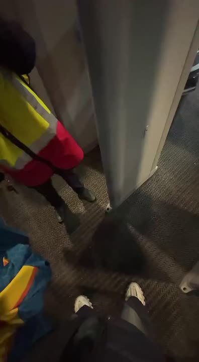 «С нашей стороны всё ок»: в клубе «Шанхайские драконы» отказались принимать ответственность за скандал с иероглифами на джерси болельщиков