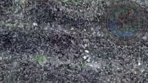 Завалили кабанчиков. Пытавшихся сбежать украинских военных настигли наши дроноводы Так и остались на поле в качестве удобрения @Dnepro_Rub