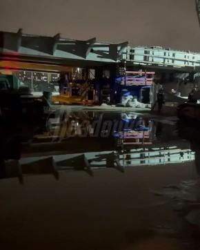 Приют с более чем 50 котами уходит под воду в Питере