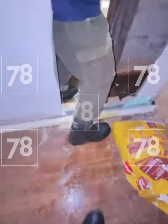 Приют для собак и кошек на Октябрьской набережной топит — вся вода, которая должна отводиться в ливневки, попадает прямо в помещения с хвостиками