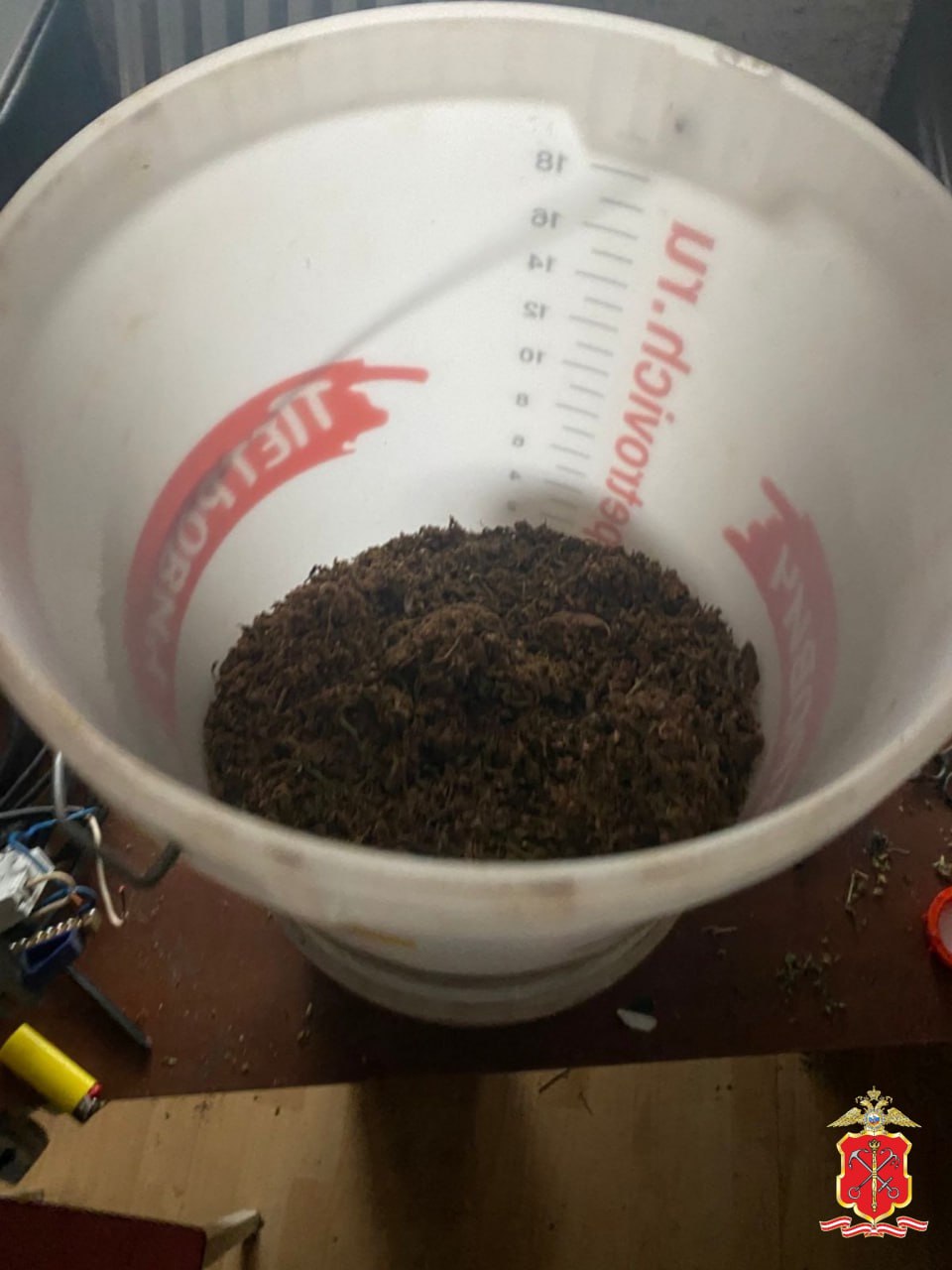 Полиция Петербурга задержала наркоагронома, высадившего коноплю в арендуемой квартире в поселке Шушары Полиция Петербурга задержала наркоагронома, высадившего коноплю в арендуемой квартире в поселке Шушары