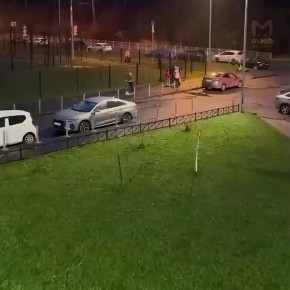 Крайне тиранские методы воспитания выбрал предполагаемый папа трёх маленьких девочек из Красногвардейского района — "базовые" оплеухи, пощёчины и ор прямо в лицо не в первый раз наблюдали соседи на Пейзажной улице