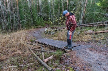 Экотропу в парке Монрепо вынуждены закрыть досрочно